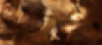 LONGHORN-CAVERNS_2.jpeg