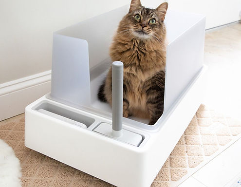 PEO-Tuft-and-Paw-Cove-Litter-Box-Lindsay-Boyers-02-1-1d87f31ef29b42a2841e37fd63632b70_edit