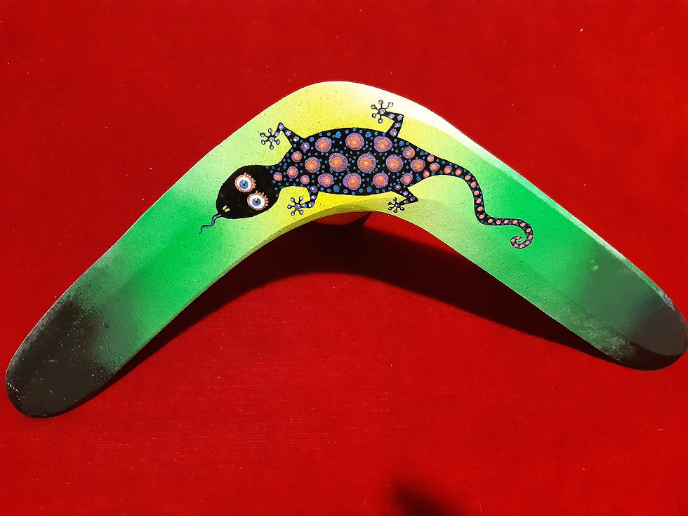 Miniatura: boomerang classico in legno 20 metri di giro