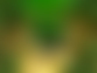 Reducing Environmental Toxin Exposure