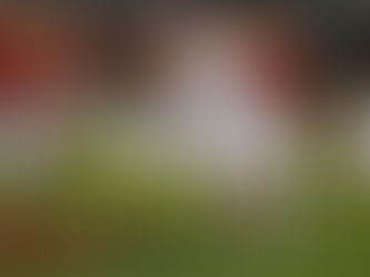 Prep pulls away from St. Francis