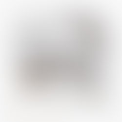 エスパル山形出店のお知らせ