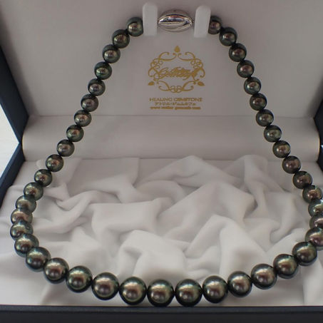 ピーコックグリーン引き立つクロチョウ真珠のネックレスをお迎え頂きました。