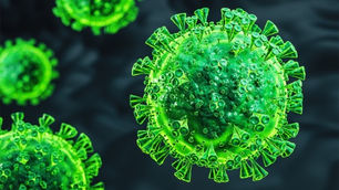 Scientists discover six strains of lethal coronavirus