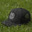 Thumbnail: Sable Duck Camo Black Hat
