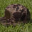 Thumbnail: Bark Duck Camo with Goatrope and Leather Patch