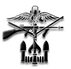 sog centershadow.png