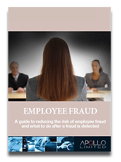 Employee Fraud Guide to Risks.PNG