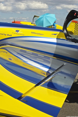 Championnats de France 2016