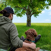 Kunde mit Hund im Training