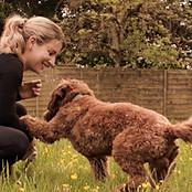 Laura mit Hund beim Spielen