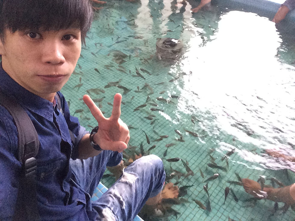 Fish spa... so tickle!