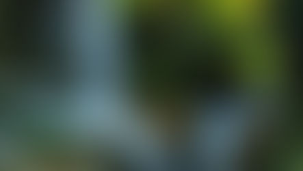 Early Opening of Watkins Glen State Park Camping Season to Welcome NASCAR Fans