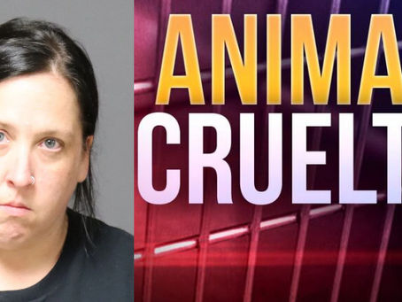 Woman Arrested Following An Animal Cruelty Investigation