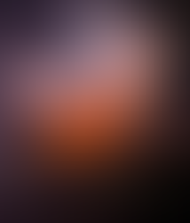 Troopers, along with multiple responding fire departments, arrived on scene to find a barn fully engulfed in flames. The property owner reported that approximately 40 ducks, 30 turkeys, several chickens, and one pig were inside the structure at the time of the fire and were unable to escape. Tragically, all animals perished.