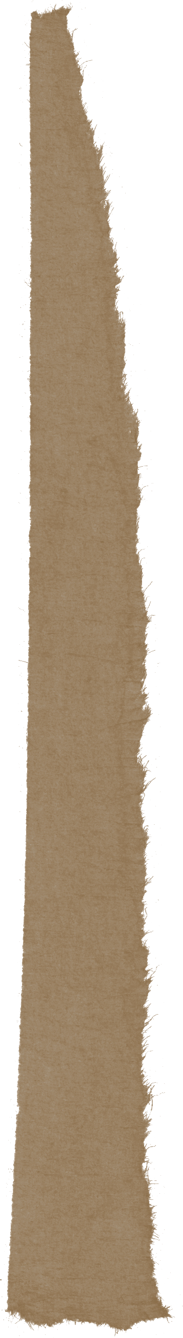 Masking Tape  (2)_edited_edited.png