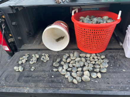 Three Cited for Illegal Clamming in Centerport Harbor, Suffolk County