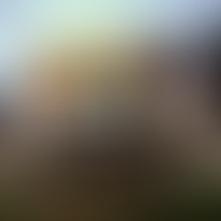 The New York State Police are investigating a serious motor vehicle incident that occurred on Colony Park Drive in the town of Salina, Onondaga County.