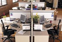Cubicle Cream Color