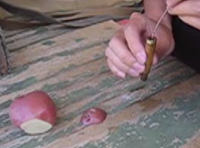 65. Potato Silencer