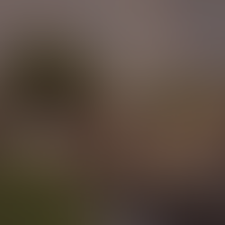 Oda a la casa móvil