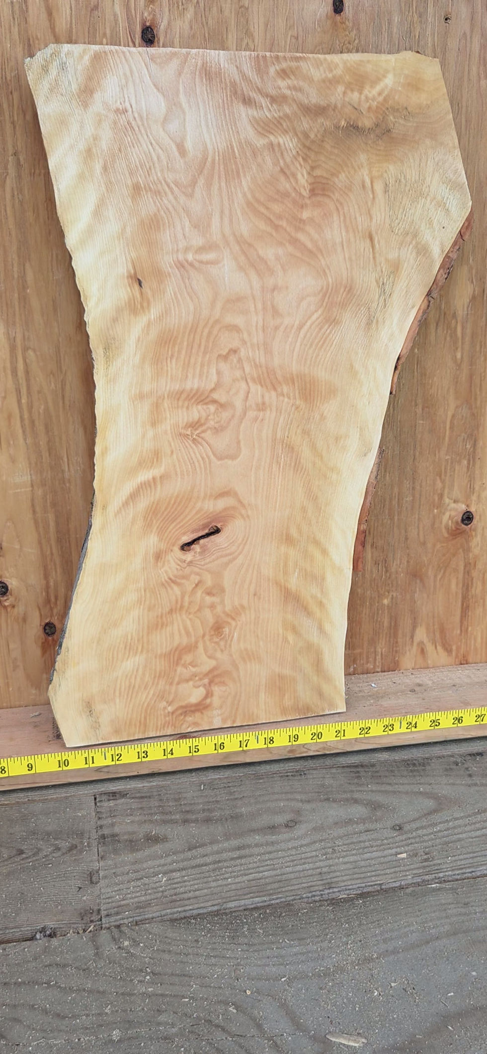 Thumbnail: Yellow Birch 24"