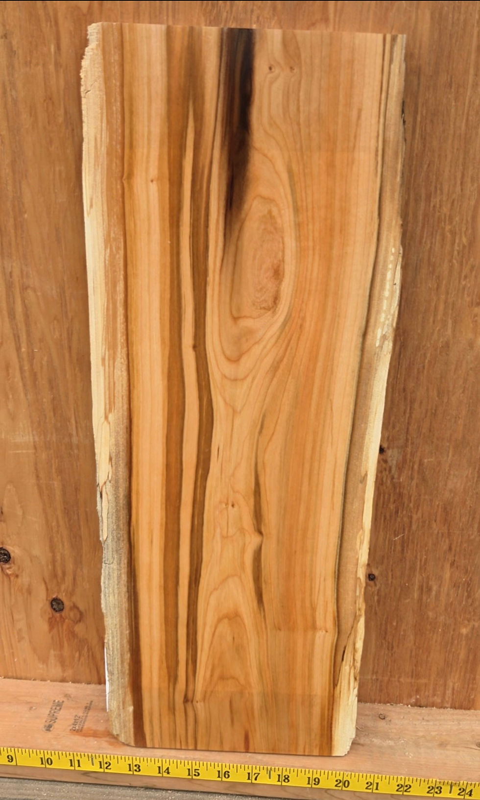 Miniature : Cerisier 21"