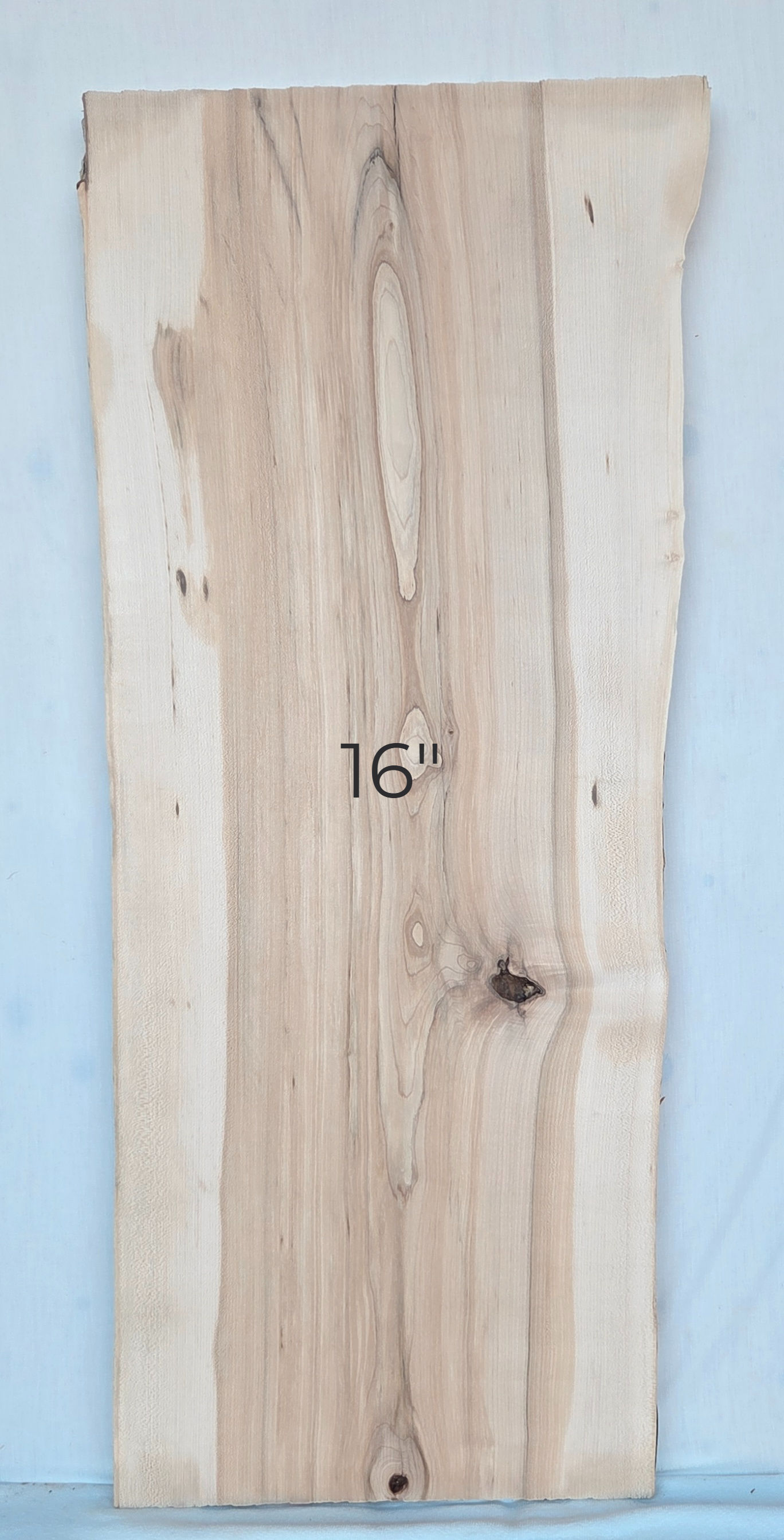 Sugar Maple 40"