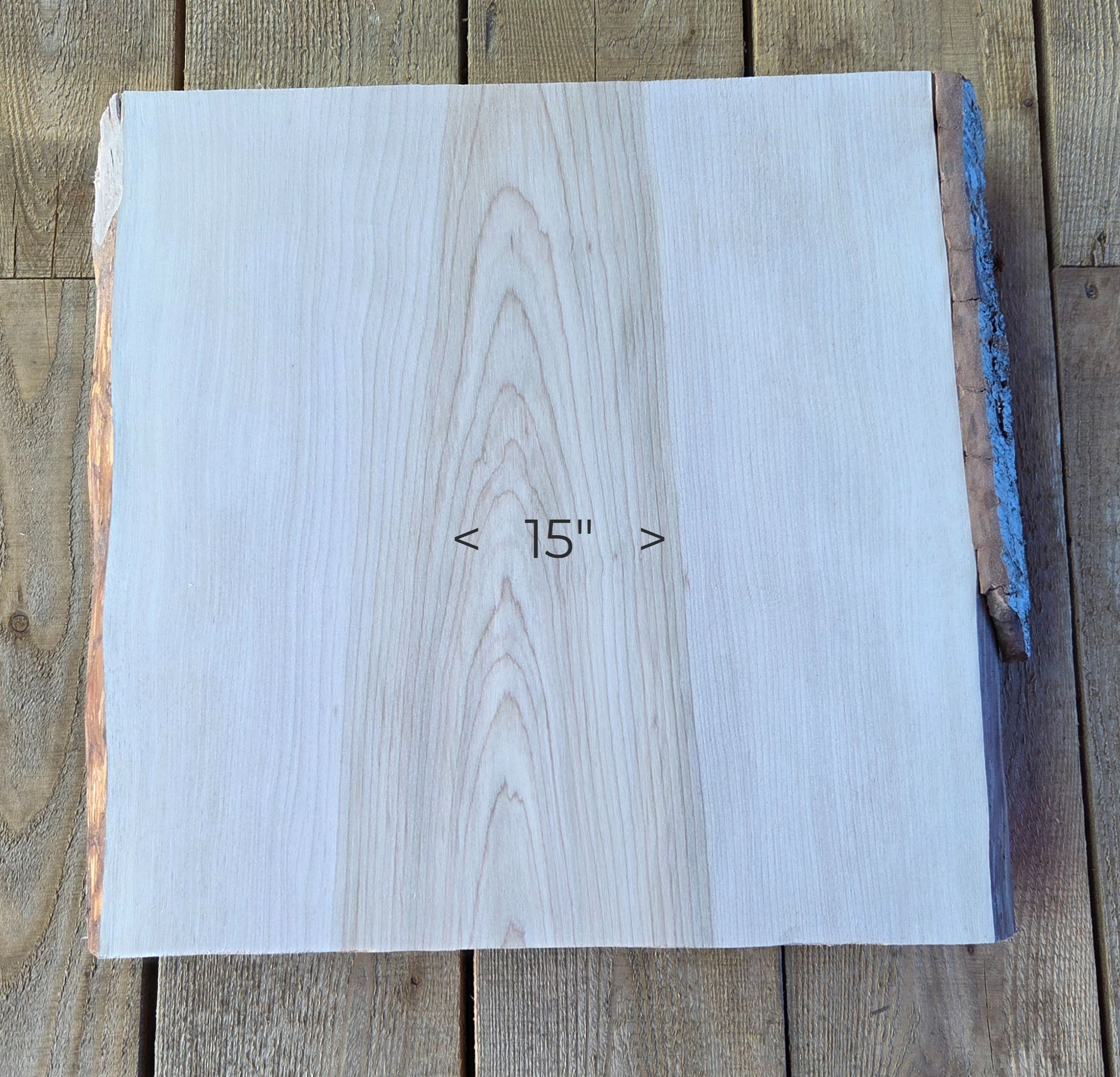 Yellow birch 16"