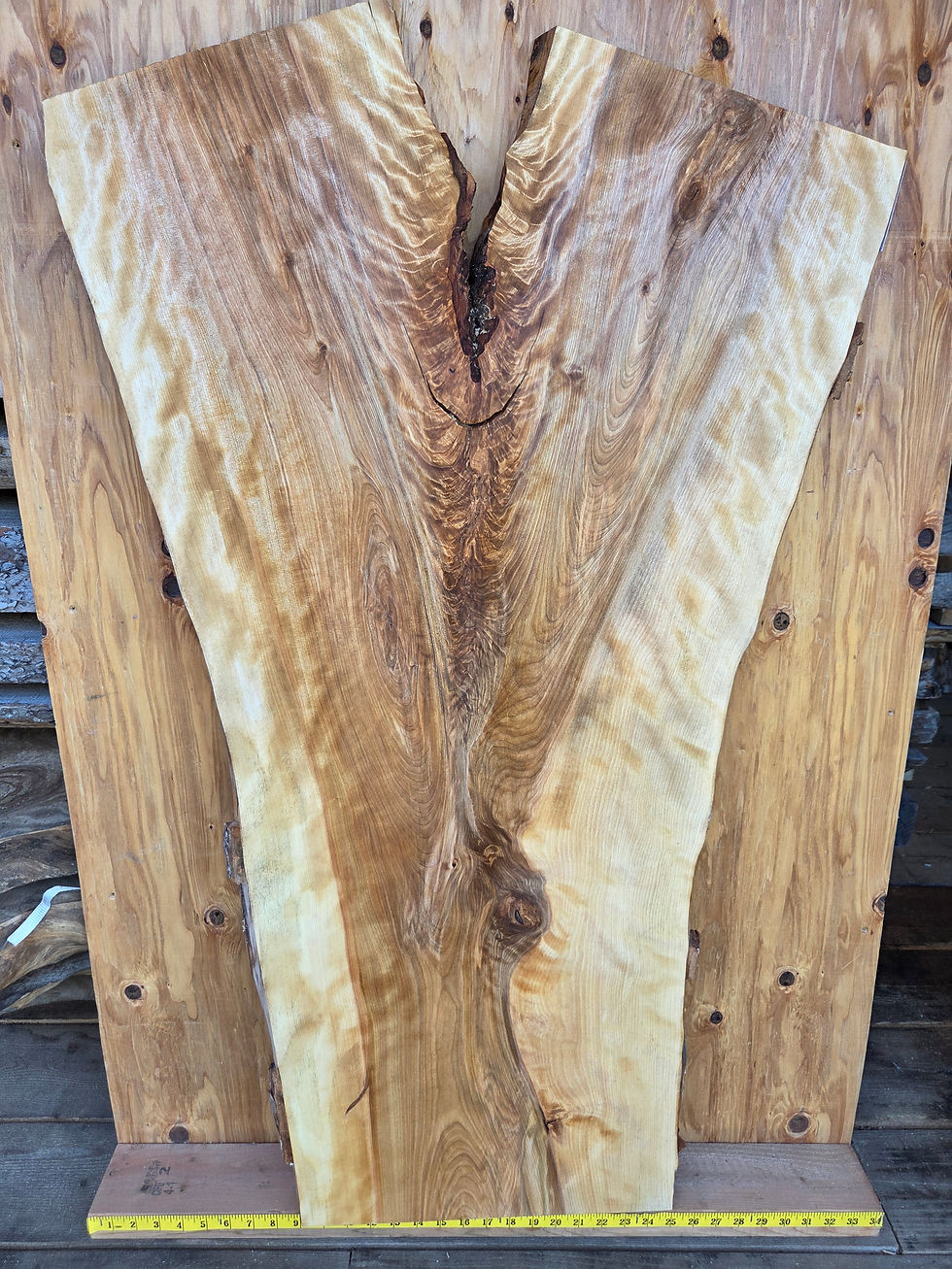 Thumbnail: Yellow birch 45"