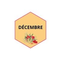 décembre.png