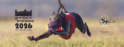 Web Banner