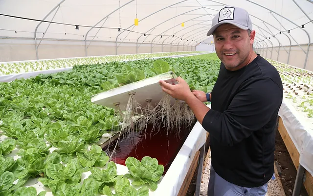 Hydroponic Consultent Fertilizer Greenhouse Soilless Rotenbergaa