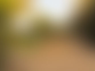 Leon's No News-letter 238 What I say to tourists.(This article was written on October 16, a litt