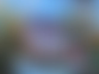 Invitation to Chinese President Xi Jinping to be the first to negotiate the terms of China potentially being the first to tentatively recognise Universal Asylum as a Global "Authority".