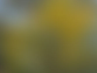 Disarming and Surrendered "Defence" Force Vestals & Repurposing Larger Ones as Off Shore Agriculture Platforms far Enough at Sea to Avoid Pesticides. & Smaller Ones to Transport Produce, etc.