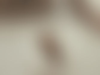 Oat Berry Banana Muffins 