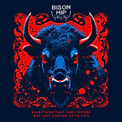 Bison Album 3.jpg