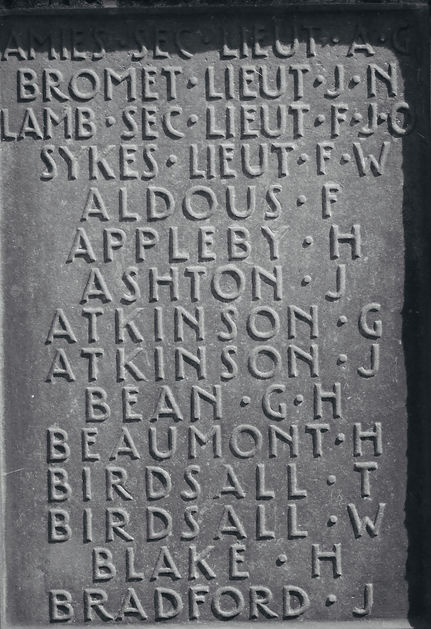 Amies Bradford Tad