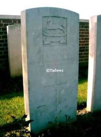 HawkinS H H Grave_edited.jpg