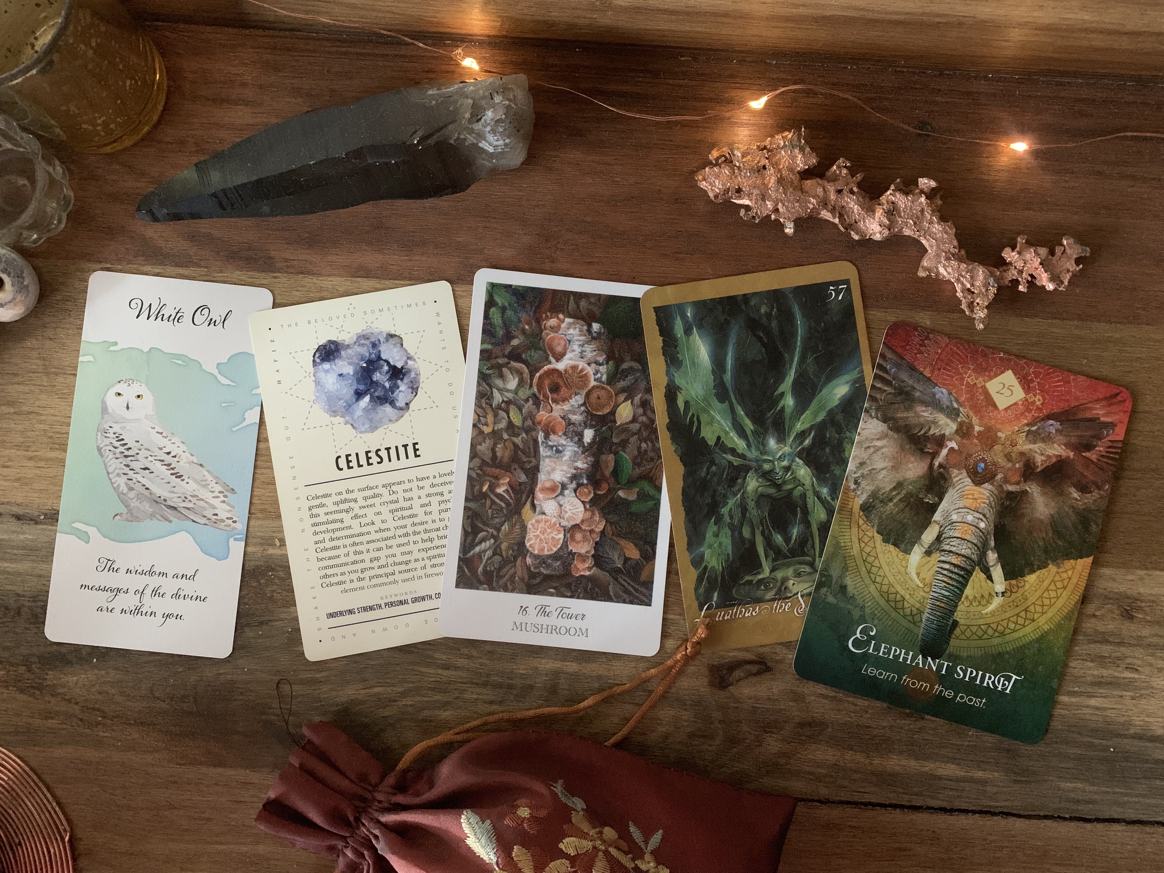 a walk in the woods book summary a walk in the woods book summary
