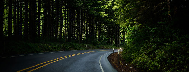image of a curved in a country road, surrounded by trees with light ahead