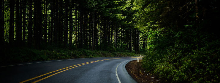 image of a curved in a country road, surrounded by trees with light ahead
