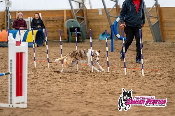 DSC_0151-2.jpg