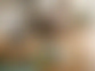 Parkett verlegen im Haus - welche Kosten fallen an?