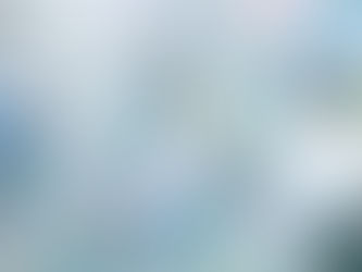 【告知】阪神梅田本店ポップアップについて🕊