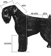 growth chart black russian terrier.jpg