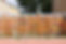 Painted hands fence 2.jpg
