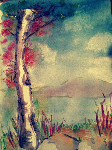 Birch Tree