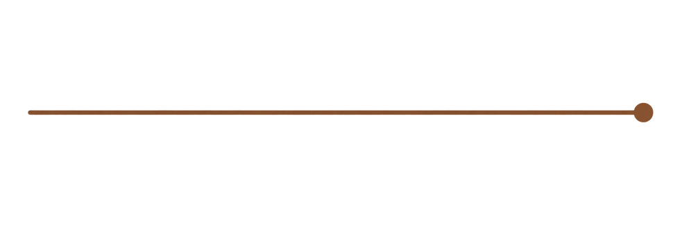 Minimal Brown Divider with Right Dot.png